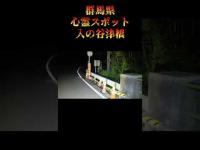 群馬県心霊スポット『入の谷津橋』 #オカルト #恐怖 #心霊スポット