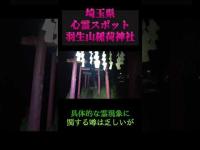 埼玉県心霊スポット『羽生山稲荷神社』 #オカルト #恐怖 #心霊スポット