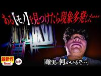【心霊】◯○を見てしまったから…その後に映った黒い影の正体とは...！【ぷち掃除】