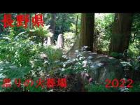 祟りの火葬場跡地で怪奇現象　　#心霊映像 #心霊スポット