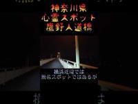 神奈川県心霊スポット『鷹野人道橋』 #心霊スポット