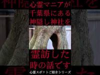 #Shorts 心霊マニアが千葉県にある神隠し神社に霊訪した時の話です