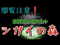 閲覧注意 新開の森（シガイの森）滋賀県心霊スポット F