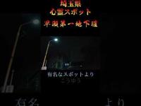 埼玉県心霊スポット『早瀬第一地下道』 #心霊スポット