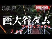 【静岡県】暑い日に出る女性の霊と不敵な笑み 西大谷ダム【心霊×筋トレ】