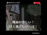 新潟県心霊スポット探訪  新潟県小千谷市  山本山高原の展望台に行ってみた！黒い人影ご現れる！2025.9.13_Full HD 1080p.mp4