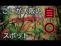 【心霊・酷道】大阪の 