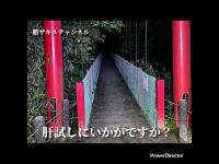 新潟県心霊スポット探訪　新潟県燕市国上　千眼堂吊り橋 20256.24_Full HD 1080p.mp4