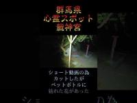 群馬県心霊スポット『龍神宮』 #心霊スポット