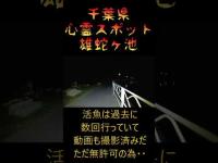 千葉県心霊スポット『雄蛇ヶ池』 #心霊スポット
