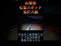 山梨県心霊スポット『東沢大橋』 #心霊スポット
