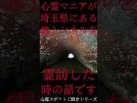 #Shorts 心霊マニアが埼玉県にある畑トンネルに霊訪した時の話です