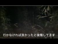 心霊以外も危険がいっぱい!? ダム湖で深夜行動