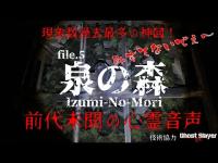 心霊File.5【神回】泉の森 ～個性豊かな霊達～【音声分離AI解析】