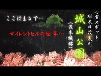 【まるでサイレントヒル…前編】ゲームの世界の様な霧の中の彼岸花…そこにいたのは…【前編】