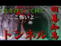 【心霊】【閲覧注意】たすけて…旧善知鳥トンネル、化けトンに行ってみたらヤバかった！