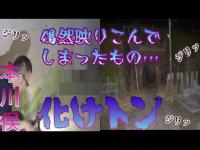 【心霊】埼玉 本川俣トンネル（化けトン） 不可解な快音多発!? そして偶然、定点カメラにあるものが映りこんでしまった…