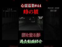 【網を登る影】心スポ探訪記#44 #shorts