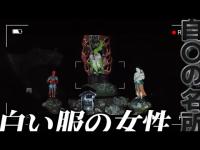 【心霊】夜になると叫び声！？その正体はこの場所で入水◯殺した女性の霊なのか？『轟の滝』