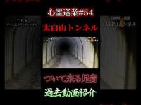 【ついて来る足音】心スポ探訪記#54 #shorts