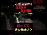 処刑場跡地の霊の正体 心霊巡業#60 #shorts