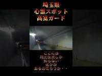 埼玉県心霊スポット『高富ガード』 #心霊スポット