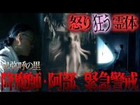 【悲嘆】一体、なぜ？…手足が何本も生えた魔物のような奇妙な霊体。降魔師・阿部が真実を解く…