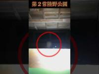 【心霊】10年前に起きた悲劇の場所で撮影したら...#shorts