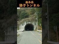 【栃木県】猪子トンネル～真昼の心スポ巡り#shorts
