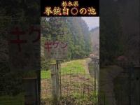 【栃木県】拳銃自○の池～真昼の心スポ巡り#shorts