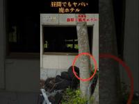 【心霊】2年で閉業した激ヤバ廃ホテルに昼間行ってみたら...#shorts