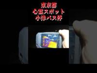 東京都心霊スポット『小津バス停』 #心霊スポット