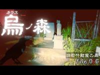 【謎】千葉県 烏の森 カラスの森（旧若竹慰霊の森）にて看板探しでこんばんは！