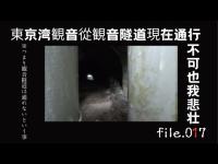 千葉県富津市観音隧道（トンネル）はトンネらい（通れない）の事