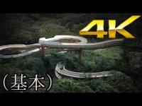 【大型プール廃墟…。】#8『アクアパーク東山』《廃墟4Ｋ ~ruins UHD~》基本ver.