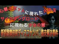【心霊スポット】弁天橋を深夜探索｜少女の影・赤い車伝説・火の玉・サイクリングロードに現れる霊