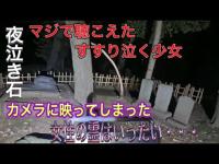 【最恐心霊スポット】国府台合戦があった国府台城跡の里見公園に現れた霊はいったい、夜泣き石で泣く少女
