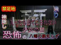 【心霊スポット】都会に残る禁足地「八幡の藪知らず」不知森神社・神隠しの竹林、少女の霊、祟り