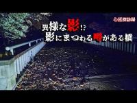 【大阪府】服部緑地 小鹿橋【心霊探訪録】