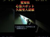 愛知県心霊スポット『久留里人道橋』 #心霊スポット