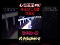 柵が低い橋 心霊巡業#87  #shorts