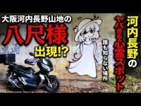 【場所特定】近畿地方のあるトンネルで微笑む白いワンピースの少女のような見た目の八尺様に会ってきた