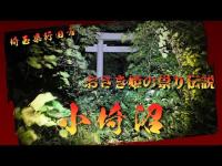埼玉県心霊スポット『小埼沼』