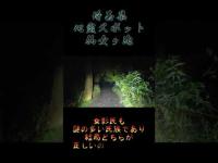 埼玉県心霊スポット『仙女ヶ池』 #心霊スポット #オカルト