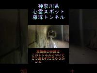 神奈川県心霊スポット『藤塚トンネル』 #心霊スポット
