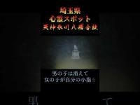 埼玉県心霊スポット『天神氷川八幡合社』 #心霊スポット #オカルト