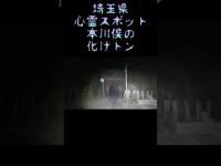 埼玉県心霊スポット『本川俣の化けトン』 #心霊  #心霊スポット