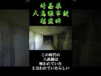 埼玉県心霊スポット『八高線事故慰霊碑』 #心霊スポット  #心霊