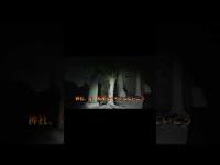 埼玉県心霊スポット『宮道踏切』＆霊道の調べ方解説 #心霊スポット #オカルト #霊道