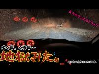 【ランエボ酷道車載】ゆく年、くる年、地獄見た。おおの自然観察の森【2画面】